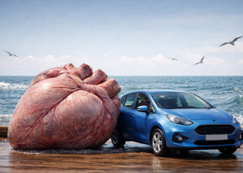 Сърцето на синия кит е с размерите на малка кола